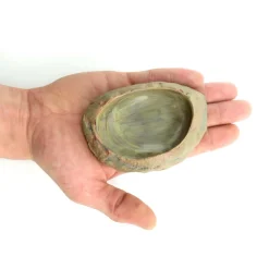 TRIXIE - Gamelle pour eau ou nourriture pour reptile 11× 7 cm h 2.5 cm