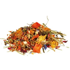 TRIXIE - Mélange d'aliments naturels pour dragons barbus 100g