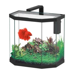 TRUFFY - Aquarium OSMOS LED équipé noir 38 litres - L.40,1xP.24,6xH.38,4cm