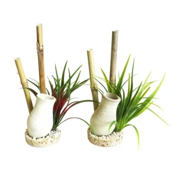 TYROL - Décor aquarium Tyrol jardin japonais