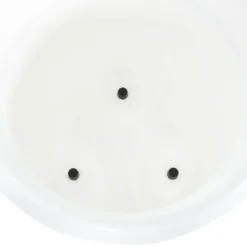 VIDAXL - Abreuvoir pour volailles avec tétines 12 l