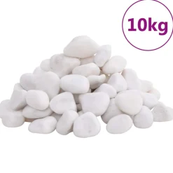 VIDAXL - Galets polis 10 kg blanc 2-5 cm