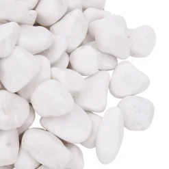 VIDAXL - Galets polis 10 kg blanc 2-5 cm