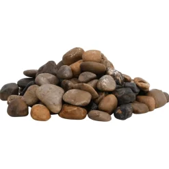 VIDAXL - Galets polis 25 kg multicolores 2-5 cm