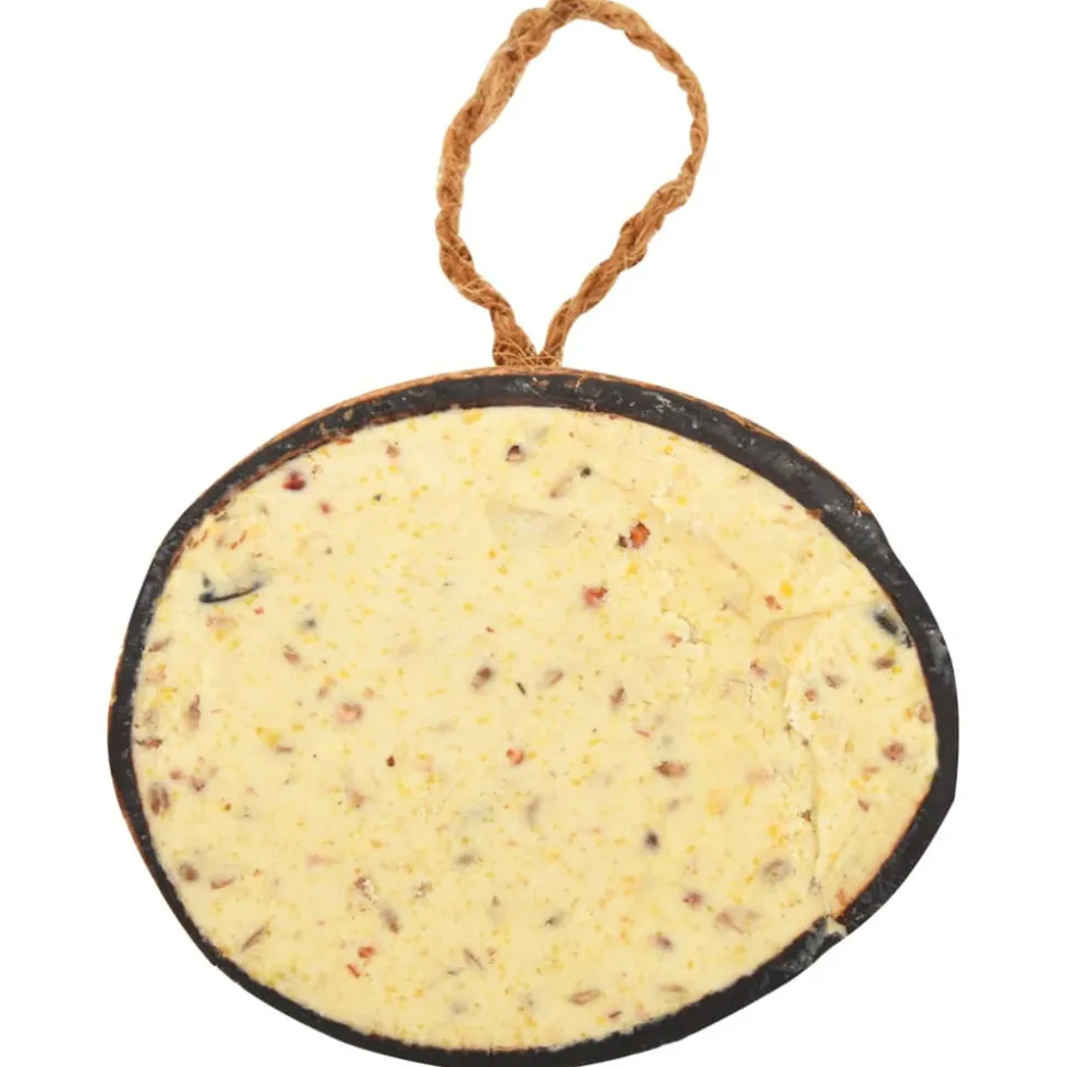 VIDAXL - Moitiés de noix de coco de nourriture d'oiseaux 10 pcs 290 g