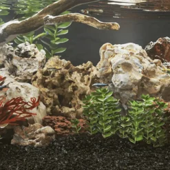 VIDAXL - Pierres du dragon 25 kg mélange de couleurs 10-30 cm