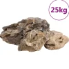 VIDAXL - Pierres du dragon 25 kg marron 10-40 cm