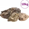 VIDAXL - Pierres du dragon 10 kg gris 10-40 cm