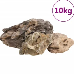 VIDAXL - Pierres du dragon 10 kg gris 10-40 cm