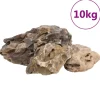 VIDAXL - Pierres du dragon 10 kg gris 10-40 cm