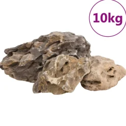 VIDAXL - Pierres du dragon 10 kg gris 10-40 cm