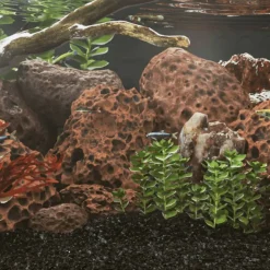 VIDAXL - Roches volcaniques 10 kg rouge 10-30 cm