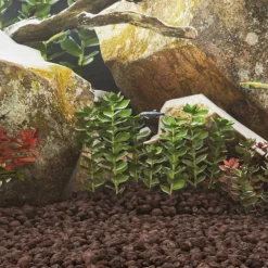 VIDAXL - Roches volcaniques 10 kg rouge 5-8 cm