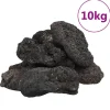 VIDAXL - Roches volcaniques 10 kg noir 10-30 cm