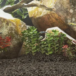 VIDAXL - Roches volcaniques 10 kg noir 1-2 cm