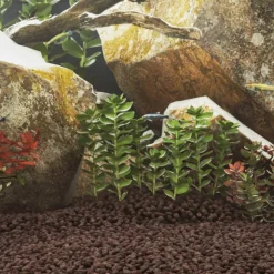 VIDAXL - Roches volcaniques 10 kg rouge 1-2 cm