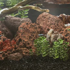 VIDAXL - Roches volcaniques 25 kg rouge 10-30 cm