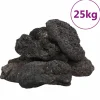 VIDAXL - Roches volcaniques 25 kg noir 10-30 cm