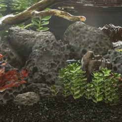 VIDAXL - Roches volcaniques 25 kg noir 10-30 cm