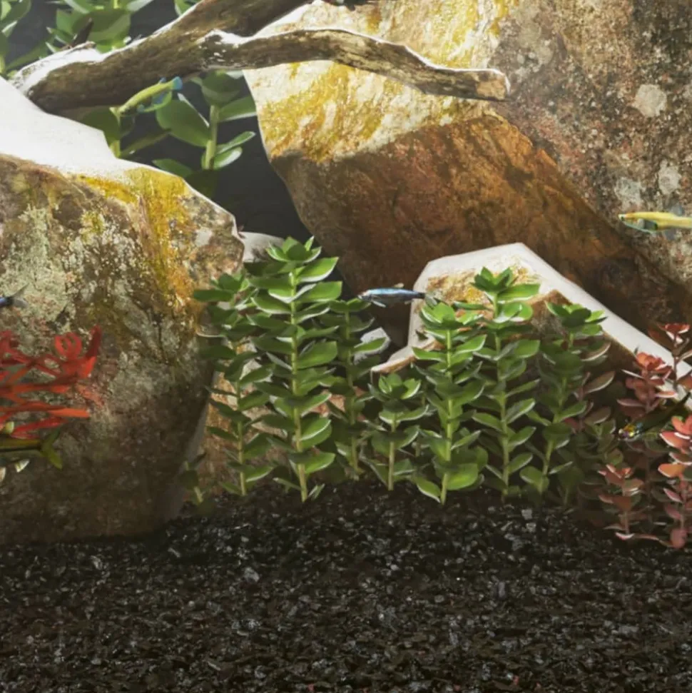 VIDAXL - Sable pour aquarium 25 kg noir 0,2-2 mm