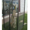 Volière de jardin pour perroquets de 1m²