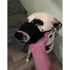 Yago museliere en nylon noir pour grand chien,