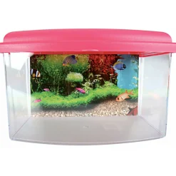 ZOLUX - Aqua travel box ii, médium, taille 28 x 20 x h 17 cm, pour poisson couleur