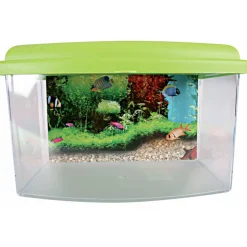 ZOLUX - Aqua travel box ii, médium, taille 28 x 20 x h 17 cm, pour poisson couleur