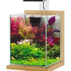 ZOLUX - Aquarium équipé Jalaya 2 chêne clair - 10 litres