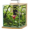 ZOLUX - Aquarium équipé Jalaya XL chêne clair - 18,7 litres