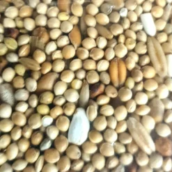 ZOLUX - Graines pour grandes perruches sac de 3 kg pour oiseaux