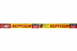 ZOOMED - Repti sun 10.0 t5 39 w - tube t5 uvb 86 cm - tube d'éclairage t5 pour terrarium destiné aux reptiles (lézards, tortues)