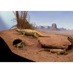 ZOOMED - Substrat excavator 4.5 kg